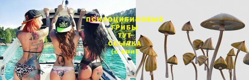 Псилоцибиновые грибы MAGIC MUSHROOMS  Бирск 